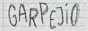garpejio