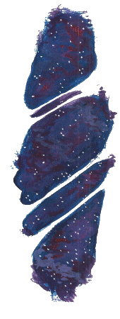 The ripped dimensional fabric of the Multiverse portal