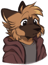 German shepherd Kevin looking bewildered